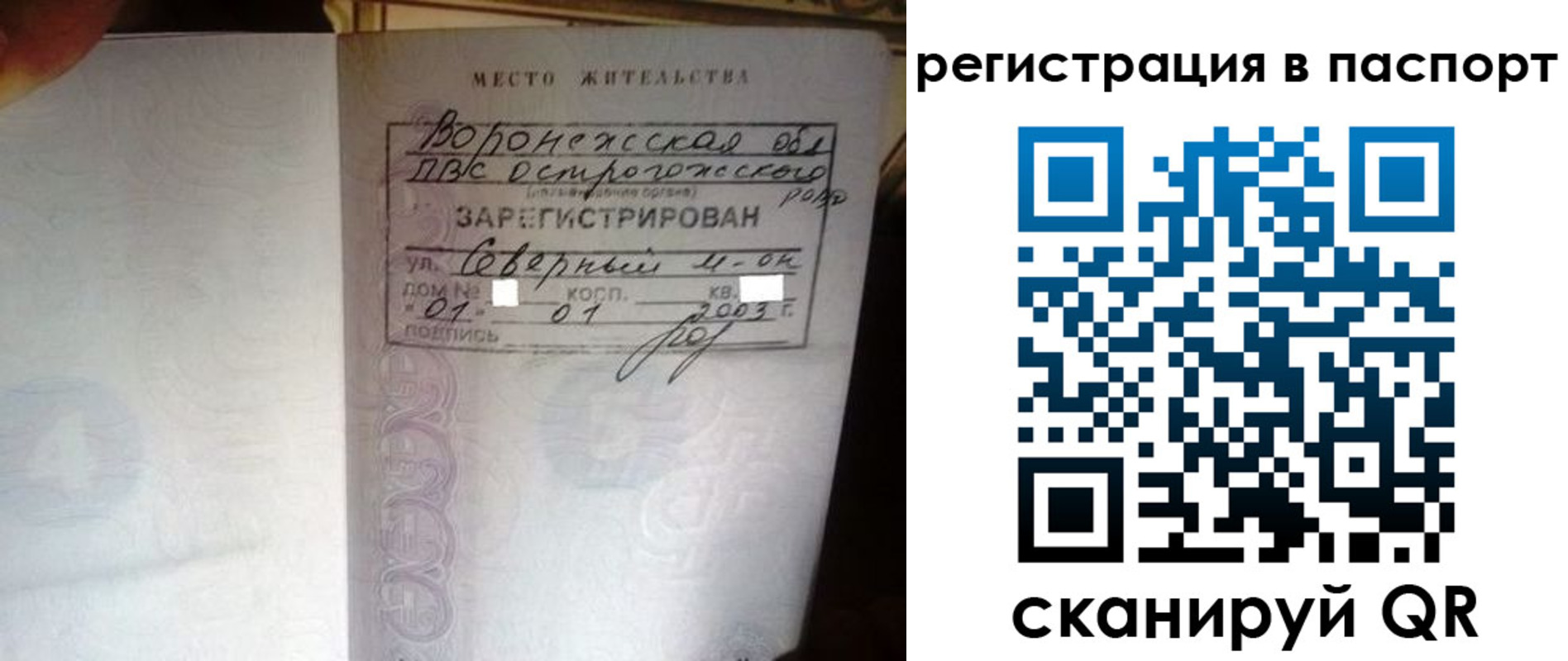 прописка для школы в Шебекино